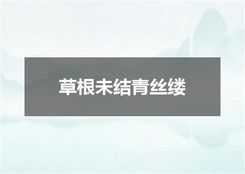 草根未结青丝缕