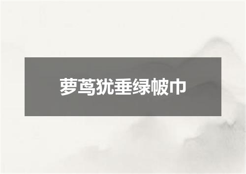 萝茑犹垂绿帔巾