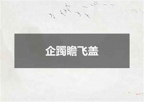 企躅瞻飞盖