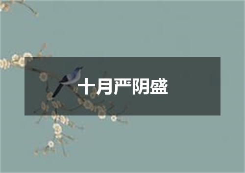 十月严阴盛