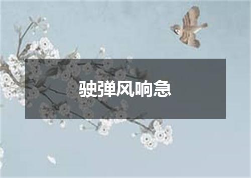 驶弹风响急
