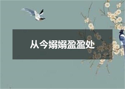 从今嫋嫋盈盈处