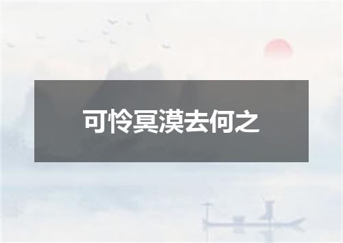 可怜冥漠去何之