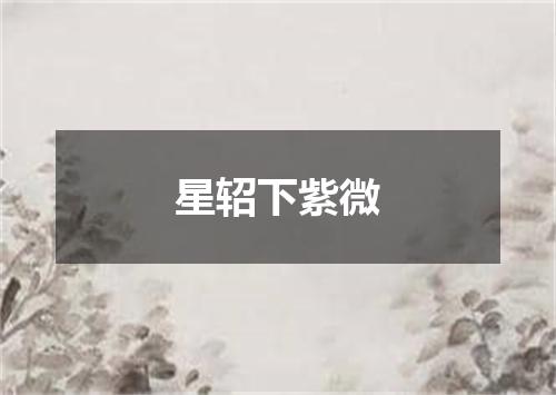 星轺下紫微