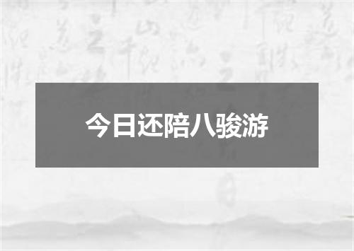 今日还陪八骏游