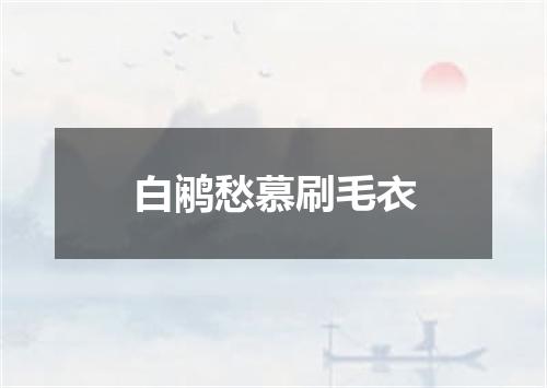 白鹇愁慕刷毛衣