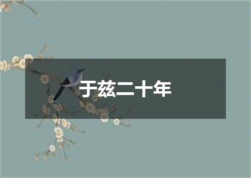 于兹二十年