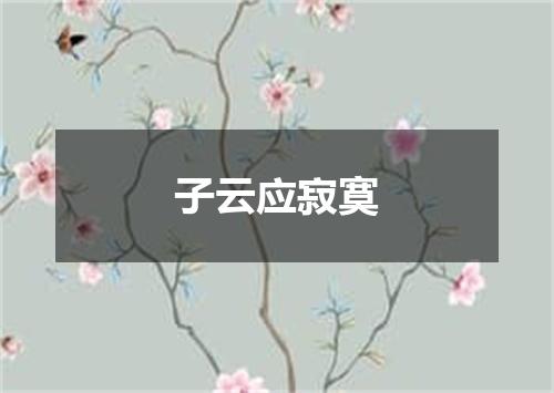 子云应寂寞