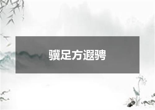 骥足方遐骋