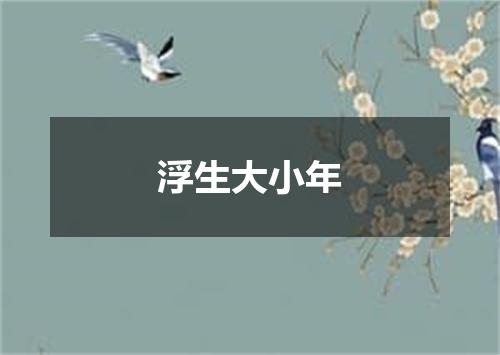 浮生大小年