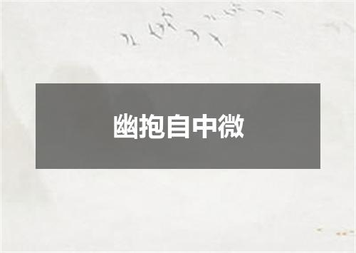 幽抱自中微