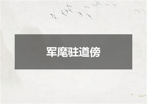 军麾驻道傍