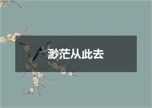 渺茫从此去