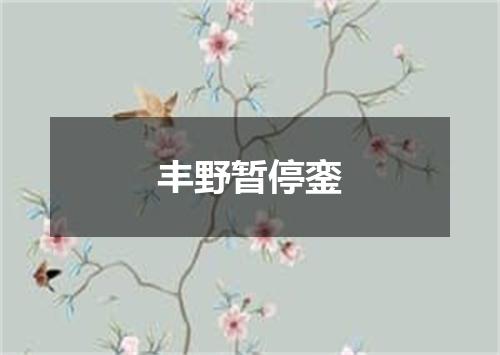 丰野暂停銮