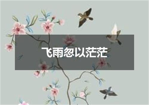 飞雨忽以茫茫