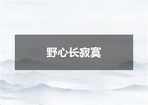 野心长寂寞