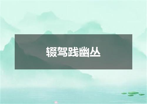 辍驾践幽丛