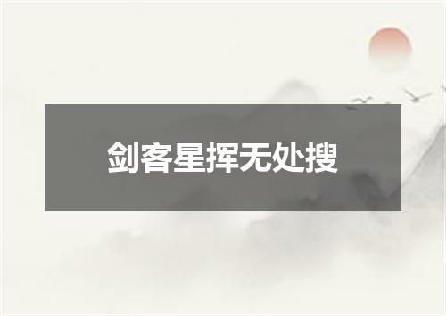 剑客星挥无处搜