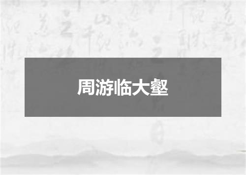 周游临大壑
