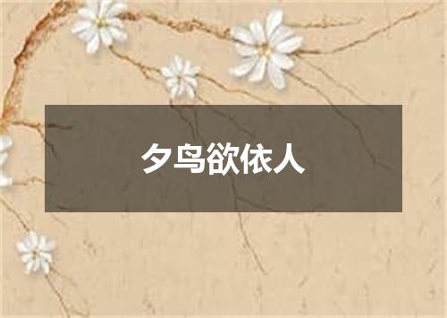 夕鸟欲依人
