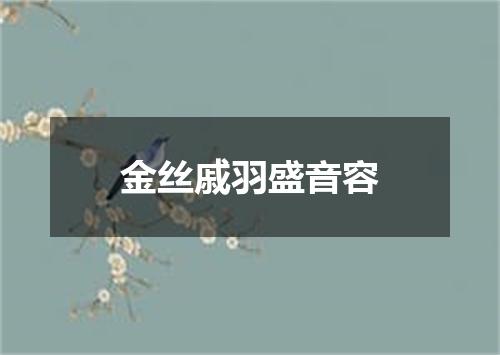 金丝戚羽盛音容