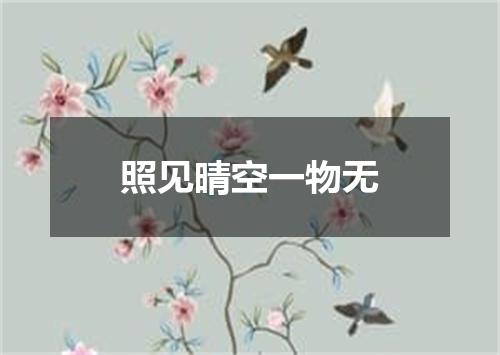 照见晴空一物无