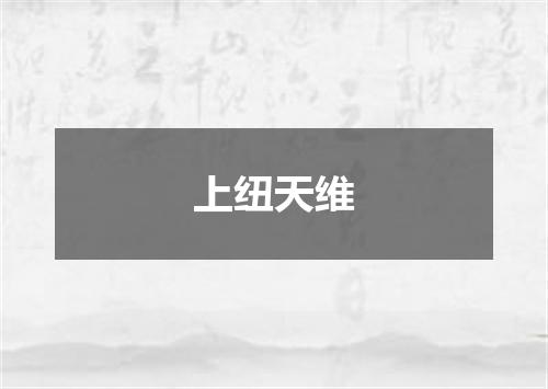 上纽天维