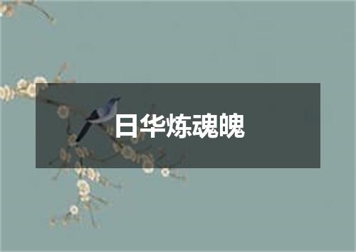 日华炼魂魄