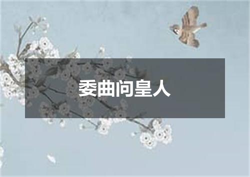 委曲问皇人