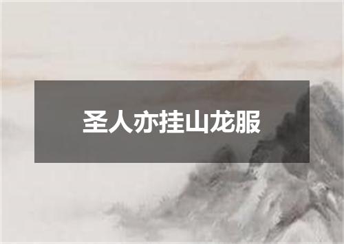 圣人亦挂山龙服
