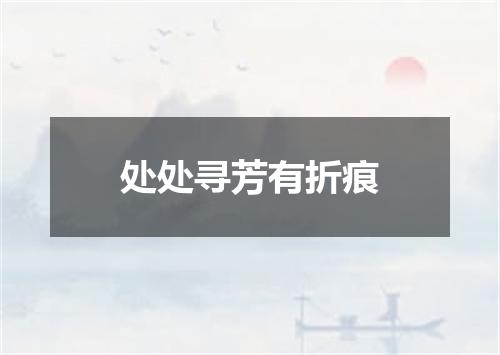 处处寻芳有折痕