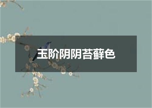 玉阶阴阴苔藓色