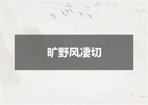 旷野风凄切