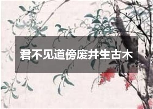 君不见道傍废井生古木