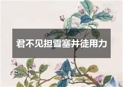 君不见担雪塞井徒用力