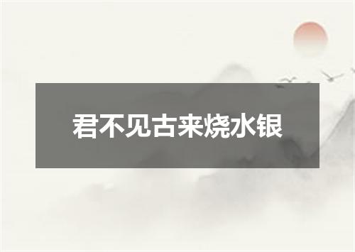君不见古来烧水银