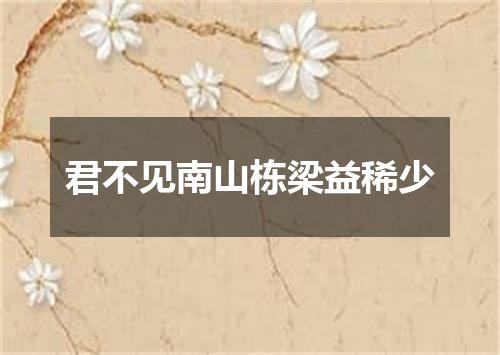 君不见南山栋梁益稀少
