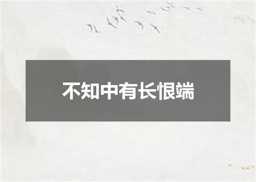 不知中有长恨端