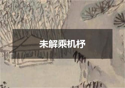 未解乘机杼