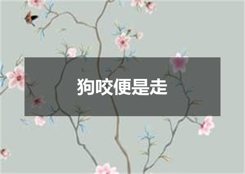 狗咬便是走