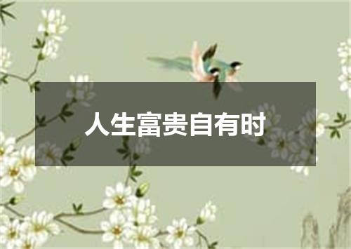 人生富贵自有时
