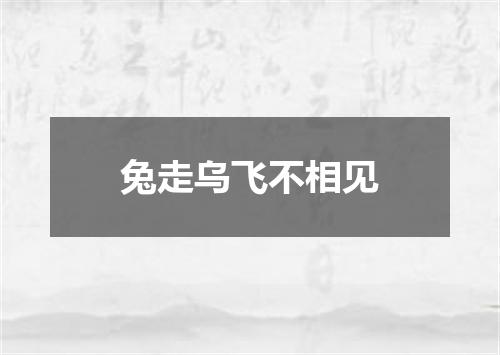 兔走乌飞不相见