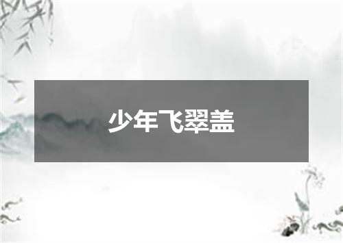 少年飞翠盖