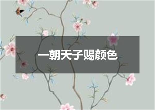 一朝天子赐颜色