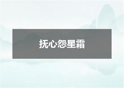 抚心怨星霜