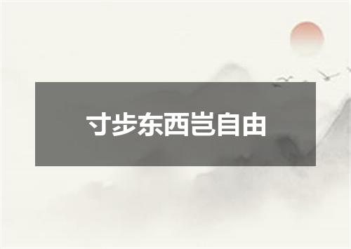 寸步东西岂自由