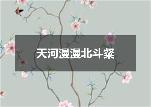 天河漫漫北斗粲