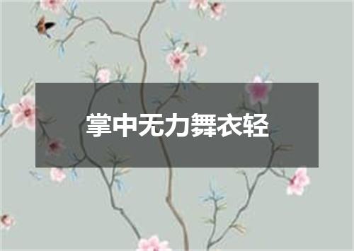 掌中无力舞衣轻