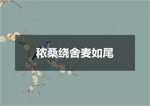秾桑绕舍麦如尾