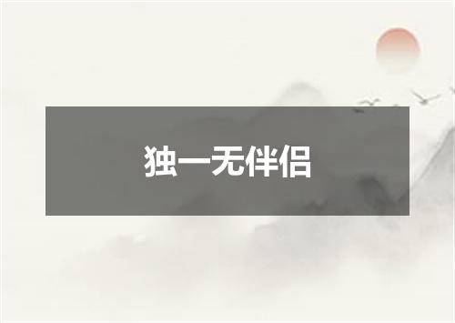 独一无伴侣